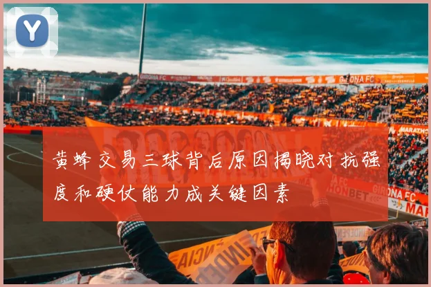 黄蜂交易三球背后原因揭晓对抗强度和硬仗能力成关键因素